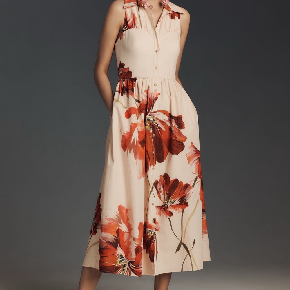 Anthropologie Cream and Red Floral Midi Dress Hutch size PS